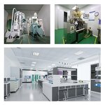 Acer Truncatum Seed Oil Factory - Nervonic Acid Plant Extract