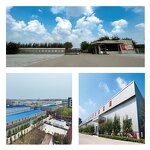 Cold Pressed Pumpkin Seed Oil Manufacturer - for Urinary Health Vegan