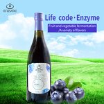 Blueberry Enzyme Supplier - High Quality Fresh Fruit Juice Drinks