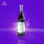 Blueberry Enzyme Supplier - High Quality Fresh Fruit Juice Drinks