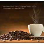 Coffee Beans Supplier - Roasted High Quality Coffee Beans