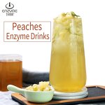 Vegetable Enzyme Supplier - 0 Fat for Bubble Tea Soft Drinks