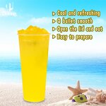 Aiyu Jelly Supplier - Instant Lime Jelly HALAL Certificates