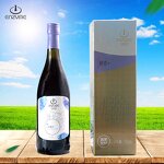 Blueberry Enzyme Supplier - High Quality Fresh Fruit Juice Drinks