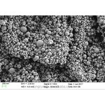 Nitinol Powder Manufacturer - 3D Printing Ni-Ti Alloy Powder Price