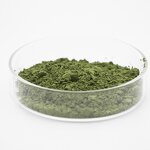 Nickel Hydroxide Powder Supplier - Nano Ni(OH)2 Price CAS 12054-48-7