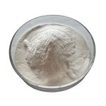 Hydroxypropyl Methyl Cellulose Manufacturer - HPMC Powder