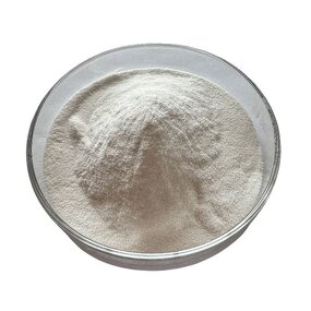 Hydroxypropyl Methyl Cellulose Manufacturer - HPMC Powder
