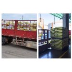 Urea Supplier - Fertilizer Grade Prills 46% Nitrogen Granular