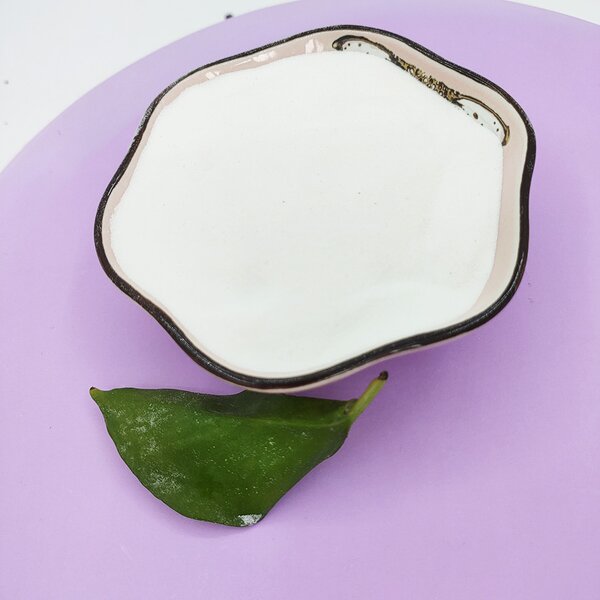 Titanium Dioxide Manufacturer - Rutile Grade Tio2 R218 Powder