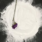 PVC Powder Raw Material Supplier - Factory Direct Wholesale White