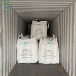 Urea Fertilizer Supplier - 46% Granular for Agriculture