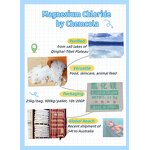Magnesium Chloride 46% Factory - High Quality White Flakes Sea Salt