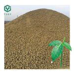 Bleaching Earth Manufacturer - Source Factory Supplier