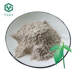 Bleaching Earth Manufacturer - Source Factory Supplier