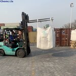 Urea Fertilizer Supplier - 46% Granular for Agriculture