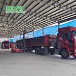 Talc Powder Manufacturer - High Whiteness for Plastic Mineral Talcum