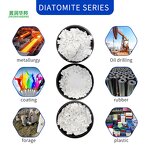 Diatomaceous Earth Manufacturer - Distillery Filter Adsorbed Plant Grade
