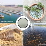 Zeolite Supplier - Price Per Ton for Building Materials Agriculture