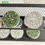 Ceramic Luminous Stone Supplier - Signpost Garden Luminescent Gravels