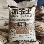 Cocopeat Bricks Supplier - Wholesale 5kg Piece Low EC Value