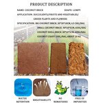 Coco Peat Supplier - 25kg Block for Plants Horticultural Flowers