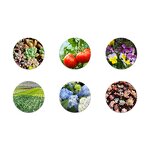 Coco Peat Supplier - 25kg Block for Plants Horticultural Flowers