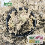 Glass Beads Manufacturer - High Strength for Road Marking Paint