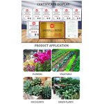 Coco Peat Supplier - 25kg Block for Plants Horticultural Flowers
