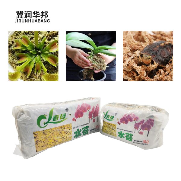 Natural Coconut Coir Supplier - Coco Peat Block for Planting Flowers