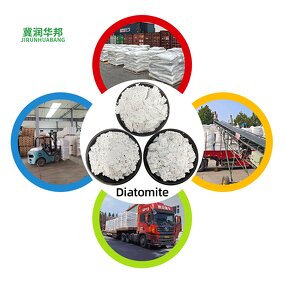 Diatomite Powder Manufacturer - Calcined Flux for Filtration CAS
