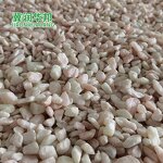 Talc Powder Manufacturer - High Whiteness for Plastic Mineral Talcum