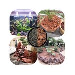 Volcanic Stone Supplier - Diffuser Oil Absorption Large Rock