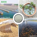 Zeolite Granule Manufacturer - 3 mm for Agriculture Plants Bulk