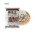 Sphagnum Moss Supplier - for Animal Husbandry Pet Care Reptile