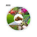 Nutrient Soil Supplier - for Flower Vegetable Cultivation Coconut Bran