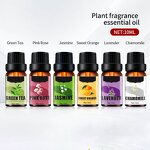 Essential Oil Supplier - 100% Pure Natural Diffuser Mint Lemon