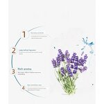 Lavender Detergent Fragrance Oil Supplier - for Cleaning Detergent