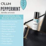 Essential Oil Manufacturer - Travelling Hotel Quality Roll on