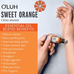 Essential Oil Manufacturer - Travelling Hotel Quality Roll on