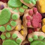 Cat Paw Protectors Manufacturer - Soft Nail Covers Stop Scratching