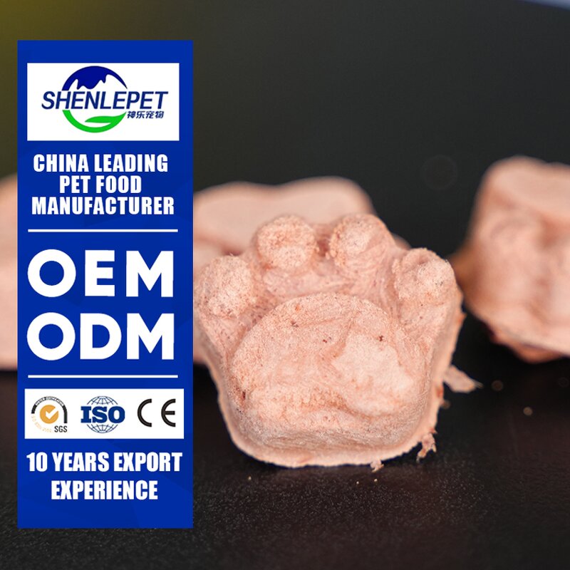 Cat Nail Clippers Supplier - Safe Trimming Overgrown Kitten Nails