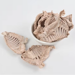 Freeze-Dried Rabbit Row Manufacturer - Dog Molars Training Reward Snacks