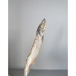 Freeze Dried Capelin Supplier - Treats Dry Food for Cats Dogs Hot Sale