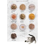 Freeze Dried Chicken Meat Supplier - Healthy No Additives Best Snacks