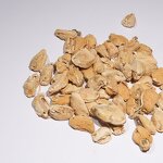 Joint Mobility Supplement Manufacturer - for Senior Dogs Cats Pet