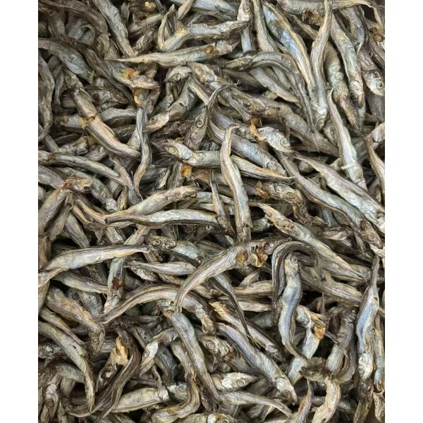 Freeze Dried Capelin Supplier - Treats for Cats Dogs Fish Application