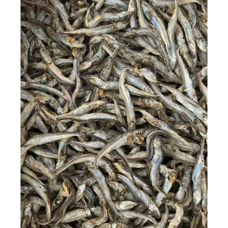Freeze Dried Capelin Supplier - Treats for Cats Dogs Fish Application