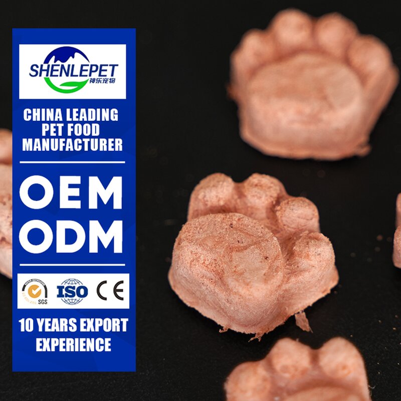 Pet Nail Caps Supplier - Premium Safe Soft for Cats Furniture