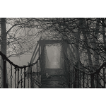 Custom Fabric Supplier - for Mask Printing with Custom Printing